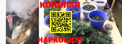 mdpv Краснодар