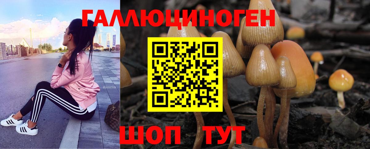 ГАШ  NBOMe  Каннабис  КОКАИН  Вход с VPN  Метамфетамин  Меф   Шадринск  Меф МЯУ МЯУ  А ПВП СК кристаллы 